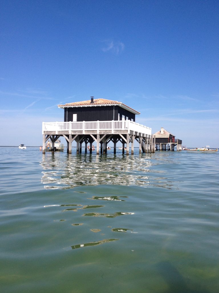 Bird Island Stilt Hut